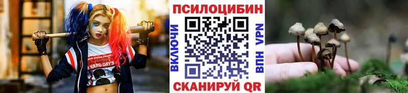 Псилоцибиновые грибы Cubensis купить наркотики цена Усолье-Сибирское