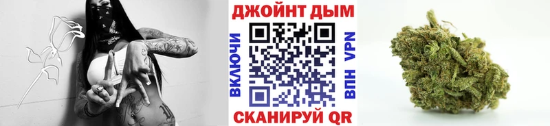 Бошки Шишки конопля  купить закладку  Усолье-Сибирское 